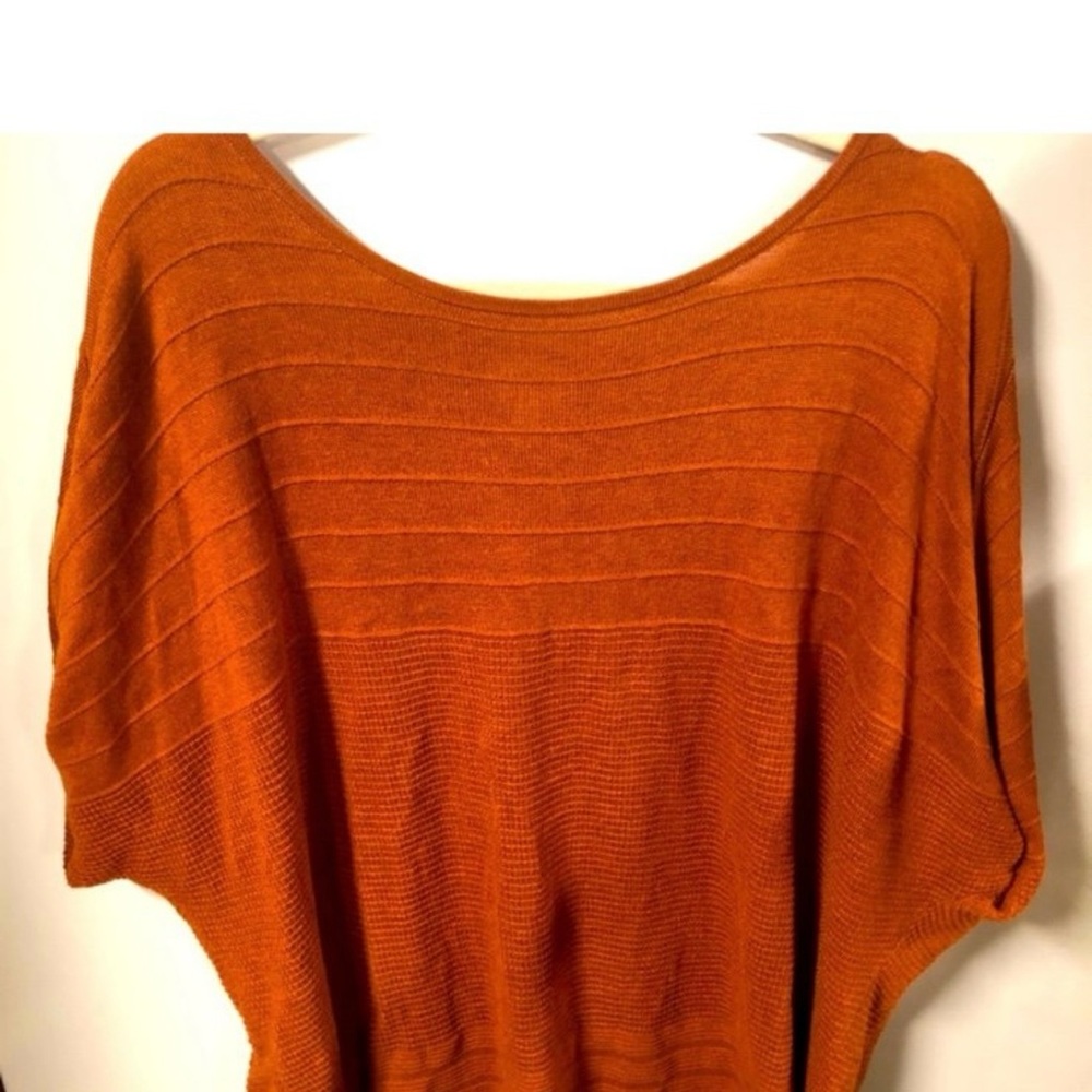 NWT Women's 2X Dressbarn Tunic Sweater